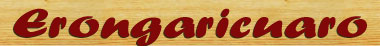 Erongaricuaro